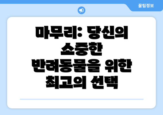 마무리: 당신의 소중한 반려동물을 위한 최고의 선택