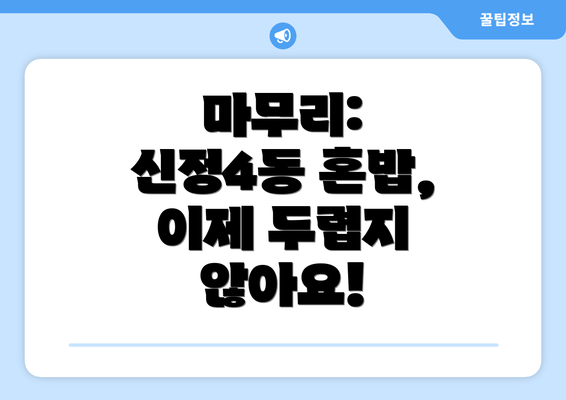 마무리: 신정4동 혼밥, 이제 두렵지 않아요!