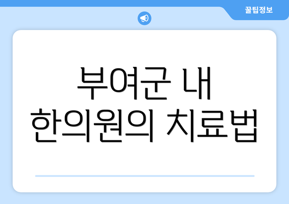 부여군 내 한의원의 치료법