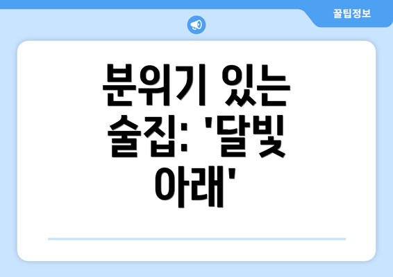 분위기 있는 술집: '달빛 아래'