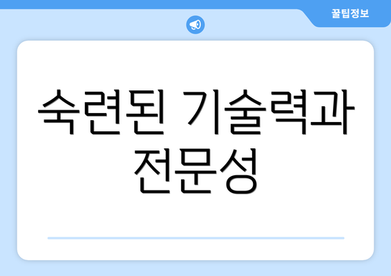 숙련된 기술력과 전문성