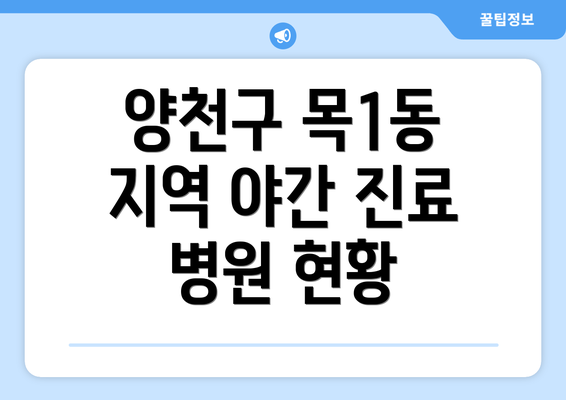 양천구 목1동 지역 야간 진료 병원 현황