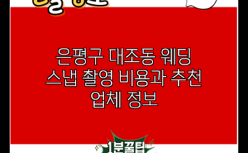 은평구 대조동 웨딩 스냅 촬영 비용과 추천 업체 정보