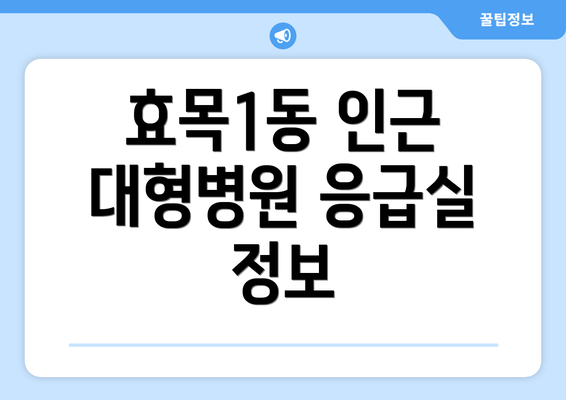 효목1동 인근 대형병원 응급실 정보