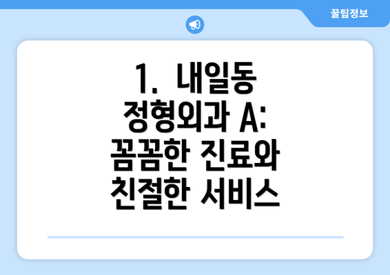 1.  내일동 정형외과 A: 꼼꼼한 진료와 친절한 서비스