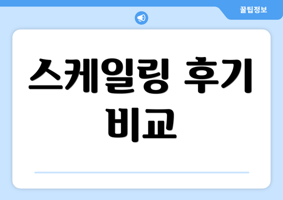 스케일링 후기 비교