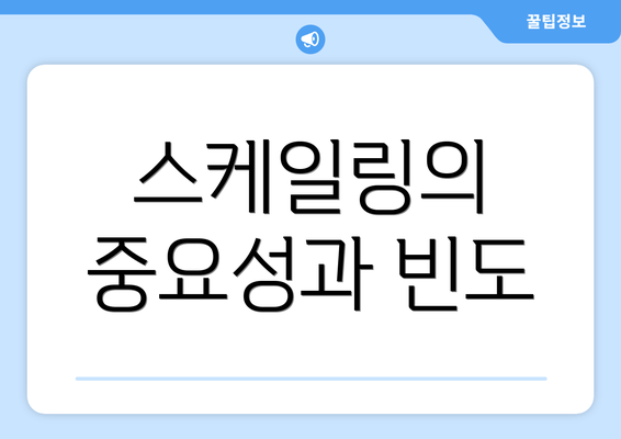 스케일링의 중요성과 빈도