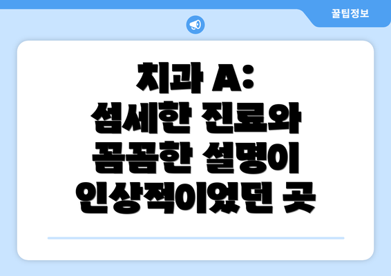 치과 A: 섬세한 진료와 꼼꼼한 설명이 인상적이었던 곳